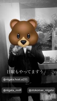 ��Į�ۥ��ȡ��ܡ������С�A151(�����������ݥ���) �褦(18)��5��19���̥�֥�������������