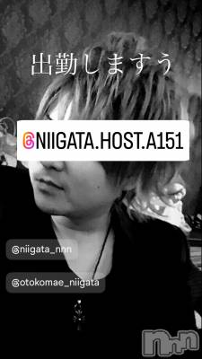 ��Į�ۥ��ȡ��ܡ������С�A151(�����������ݥ���) �褦(18)��5��22���̥�֥����ֿ�������