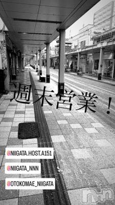 ��Į�ۥ��ȡ��ܡ������С�A151(�����������ݥ���) �褦(18)��5��24���̥�֥����ֶ�������