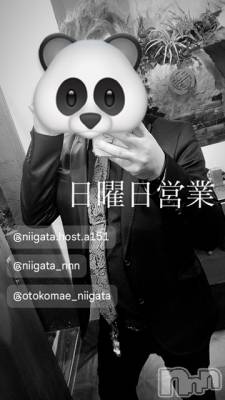 ��Į�ۥ��ȡ��ܡ������С�A151(�����������ݥ���) �褦(18)��5��26���̥�֥�������������