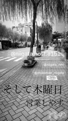 ��Į�ۥ��ȡ��ܡ������С�A151(�����������ݥ���) �褦(18)��5��30���̥�֥�������������