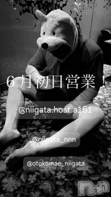 ��Į�ۥ��ȡ��ܡ������С�A151(�����������ݥ���) �褦(18)��6��2���̥�֥�������������