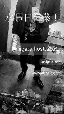 ��Į�ۥ��ȡ��ܡ������С�A151(�����������ݥ���) �褦(18)��6��5���̥�֥����ֿ�������