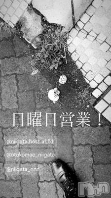 ��Į�ۥ��ȡ��ܡ������С�A151(�����������ݥ���) �褦(18)��6��9���̥�֥�������������