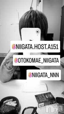 ��Į�ۥ��ȡ��ܡ������С�A151(�����������ݥ���) �褦(18)��6��12���̥�֥����ֿ�������