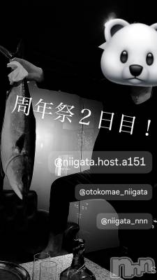 ��Į�ۥ��ȡ��ܡ������С�A151(�����������ݥ���) �褦(18)��6��15���̥�֥�������������