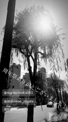 ��Į�ۥ��ȡ��ܡ������С�A151(�����������ݥ���) �褦(18)��6��16���̥�֥�������������