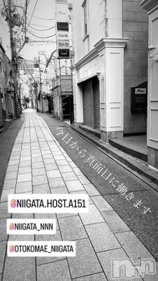 ��Į�ۥ��ȡ��ܡ������С�A151(�����������ݥ���) �褦(18)��6��20���̥�֥�������������