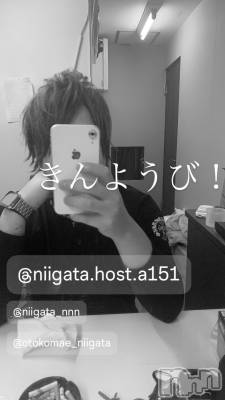 ��Į�ۥ��ȡ��ܡ������С�A151(�����������ݥ���) �褦(18)��6��28���̥�֥����ֶ�������