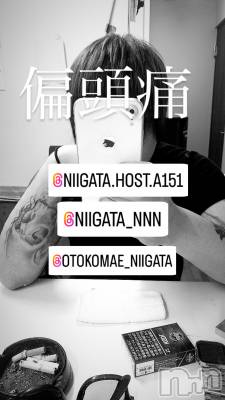 ��Į�ۥ��ȡ��ܡ������С�A151(�����������ݥ���) �褦(18)��7��4���̥�֥�������������