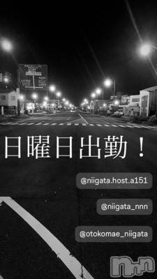 ��Į�ۥ��ȡ��ܡ������С�A151(�����������ݥ���) �褦(18)��7��7���̥�֥�������������