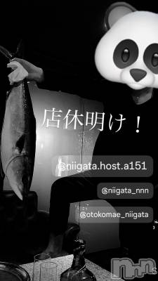 ��Į�ۥ��ȡ��ܡ������С�A151(�����������ݥ���) �褦(18)��7��10���̥�֥����ֿ�������