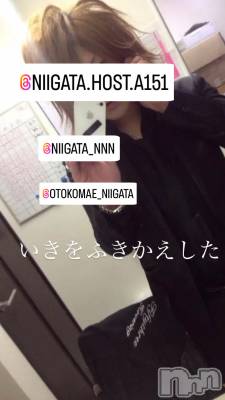 ��Į�ۥ��ȡ��ܡ������С�A151(�����������ݥ���) �褦(18)��7��13���̥�֥�������������