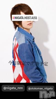 ��Į�ۥ��ȡ��ܡ������С�A151(�����������ݥ���) �褦(18)��7��14���̥�֥�������������