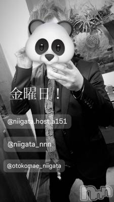 ��Į�ۥ��ȡ��ܡ������С�A151(�����������ݥ���) �褦(18)��7��19���̥�֥����ֶ�������