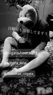 ��Į�ۥ��ȡ��ܡ������С�A151(�����������ݥ���) �褦(18)��7��21���̥�֥�������������