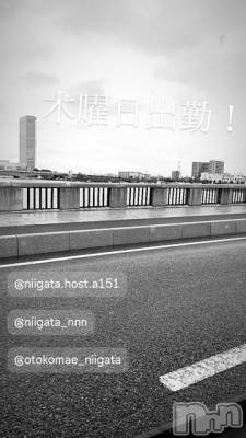 ��Į�ۥ��ȡ��ܡ������С�A151(�����������ݥ���) �褦(18)��7��25���̥�֥�������������