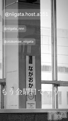 ��Į�ۥ��ȡ��ܡ������С�A151(�����������ݥ���) �褦(18)��7��26���̥�֥����ֶ�������