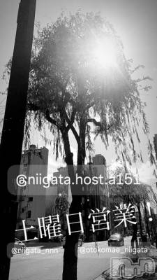 ��Į�ۥ��ȡ��ܡ������С�A151(�����������ݥ���) �褦(18)��7��27���̥�֥�������������