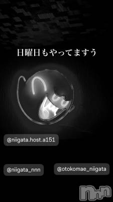 ��Į�ۥ��ȡ��ܡ������С�A151(�����������ݥ���) �褦(18)��7��28���̥�֥�������������