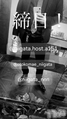 ��Į�ۥ��ȡ��ܡ������С�A151(�����������ݥ���) �褦(18)��7��31���̥�֥����ֿ�������