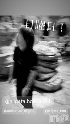 ��Į�ۥ��ȡ��ܡ������С�A151(�����������ݥ���) �褦(18)��8��4���̥�֥�������������