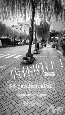 ��Į�ۥ��ȡ��ܡ������С�A151(�����������ݥ���) �褦(18)��8��7���̥�֥����ֿ�������