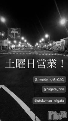 ��Į�ۥ��ȡ��ܡ������С�A151(�����������ݥ���) �褦(18)��8��10���̥�֥�������������