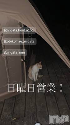 ��Į�ۥ��ȡ��ܡ������С�A151(�����������ݥ���) �褦(18)��8��18���̥�֥�������������