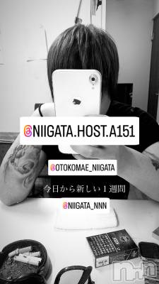 ��Į�ۥ��ȡ��ܡ������С�A151(�����������ݥ���) �褦(18)��8��21���̥�֥����ֿ�������