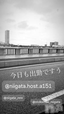 ��Į�ۥ��ȡ��ܡ������С�A151(�����������ݥ���) �褦(18)��8��29���̥�֥�������������