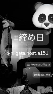 ��Į�ۥ��ȡ��ܡ������С�A151(�����������ݥ���) �褦(18)��8��31���̥�֥�������������