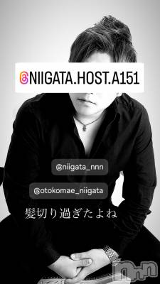 ��Į�ۥ��ȡ��ܡ������С�A151(�����������ݥ���) �褦(18)��9��11���̥�֥����ֿ�������