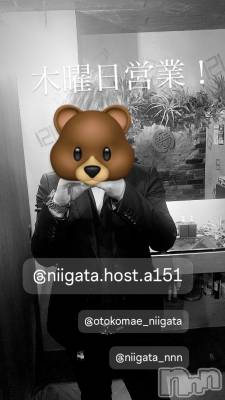 ��Į�ۥ��ȡ��ܡ������С�A151(�����������ݥ���) �褦(18)��9��19���̥�֥�������������