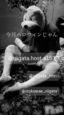 ��Į�ۥ��ȡ��ܡ������С�A151(�����������ݥ���) �褦(18)��10��3���̥�֥�������������