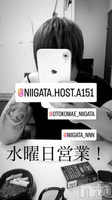 ��Į�ۥ��ȡ��ܡ������С�A151(�����������ݥ���) �褦(18)��10��9���̥�֥����ֿ�������