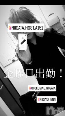 ��Į�ۥ��ȡ��ܡ������С�A151(�����������ݥ���) �褦(18)��10��11���̥�֥����ֶ�������