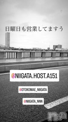 ��Į�ۥ��ȡ��ܡ������С�A151(�����������ݥ���) �褦(18)��10��13���̥�֥�������������