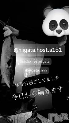 ��Į�ۥ��ȡ��ܡ������С�A151(�����������ݥ���) �褦(18)��10��16���̥�֥����ֿ�������