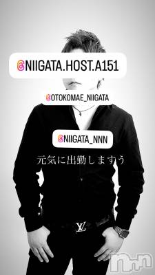 ��Į�ۥ��ȡ��ܡ������С�A151(�����������ݥ���) �褦(18)��10��19���̥�֥�������������