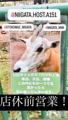 ��Į�ۥ��ȡ��ܡ������С�A151(�����������ݥ���) �褦(18)��10��21���̥�֥����ַ�������