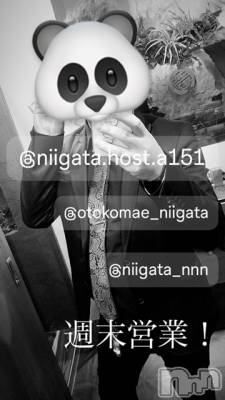 ��Į�ۥ��ȡ��ܡ������С�A151(�����������ݥ���) �褦(18)��10��26���̥�֥�������������