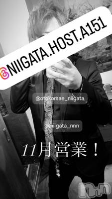 ��Į�ۥ��ȡ��ܡ������С�A151(�����������ݥ���) �褦(18)��11��2���̥�֥�������������