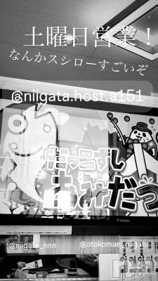 ��Į�ۥ��ȡ��ܡ������С�A151(�����������ݥ���) �褦(18)��11��16���̥�֥�������������