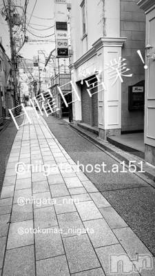 ��Į�ۥ��ȡ��ܡ������С�A151(�����������ݥ���) �褦(18)��11��17���̥�֥�������������