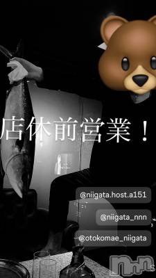 ��Į�ۥ��ȡ��ܡ������С�A151(�����������ݥ���) �褦(18)��11��25���̥�֥����ַ�������