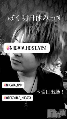 ��Į�ۥ��ȡ��ܡ������С�A151(�����������ݥ���) �褦(18)��11��28���̥�֥�������������