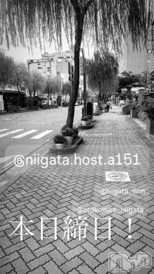 ��Į�ۥ��ȡ��ܡ������С�A151(�����������ݥ���) �褦(18)��11��30���̥�֥�������������