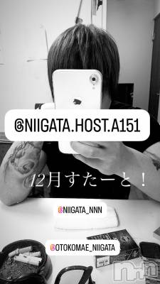 ��Į�ۥ��ȡ��ܡ������С�A151(�����������ݥ���) �褦(18)��12��2���̥�֥����ַ�������