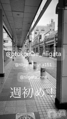 ��Į�ۥ��ȡ��ܡ������С�A151(�����������ݥ���) �褦(18)��12��11���̥�֥����ֿ�������